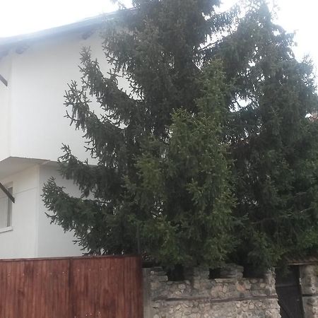 Guest House Khizhina - Easy Home Sapareva Banya Bagian luar foto