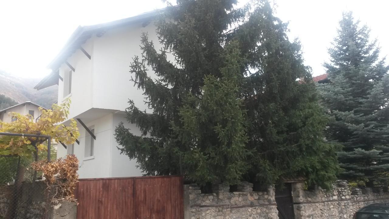 Guest House Khizhina - Easy Home Sapareva Banya Bagian luar foto